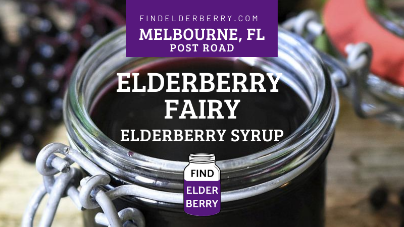 elderberry fairy elderberry syrup melbourne florida post road