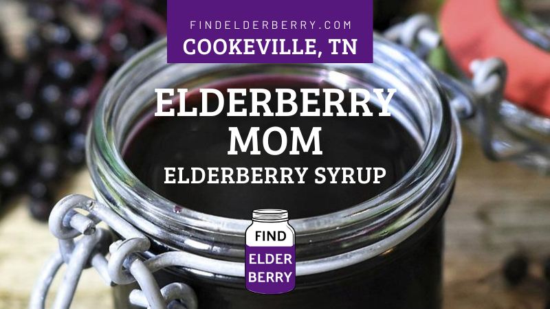 elderberry mom elderberry syrup cookeville tennessee