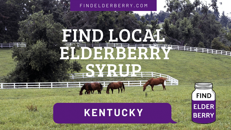 Elderberry Syrup Kentucky