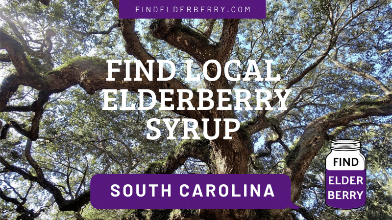 Elderberry Syrup South Carolina
