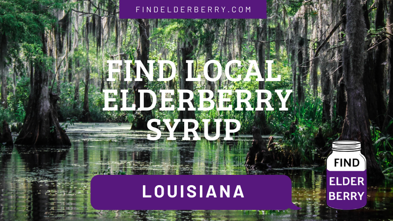 Elderberry syrup Louisiana