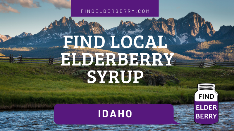 elderberry syrup idaho