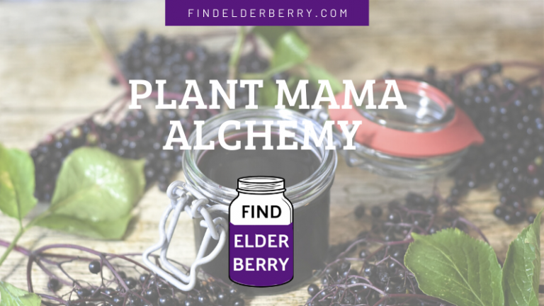plant mama alchemy elderberry syrup 768x432